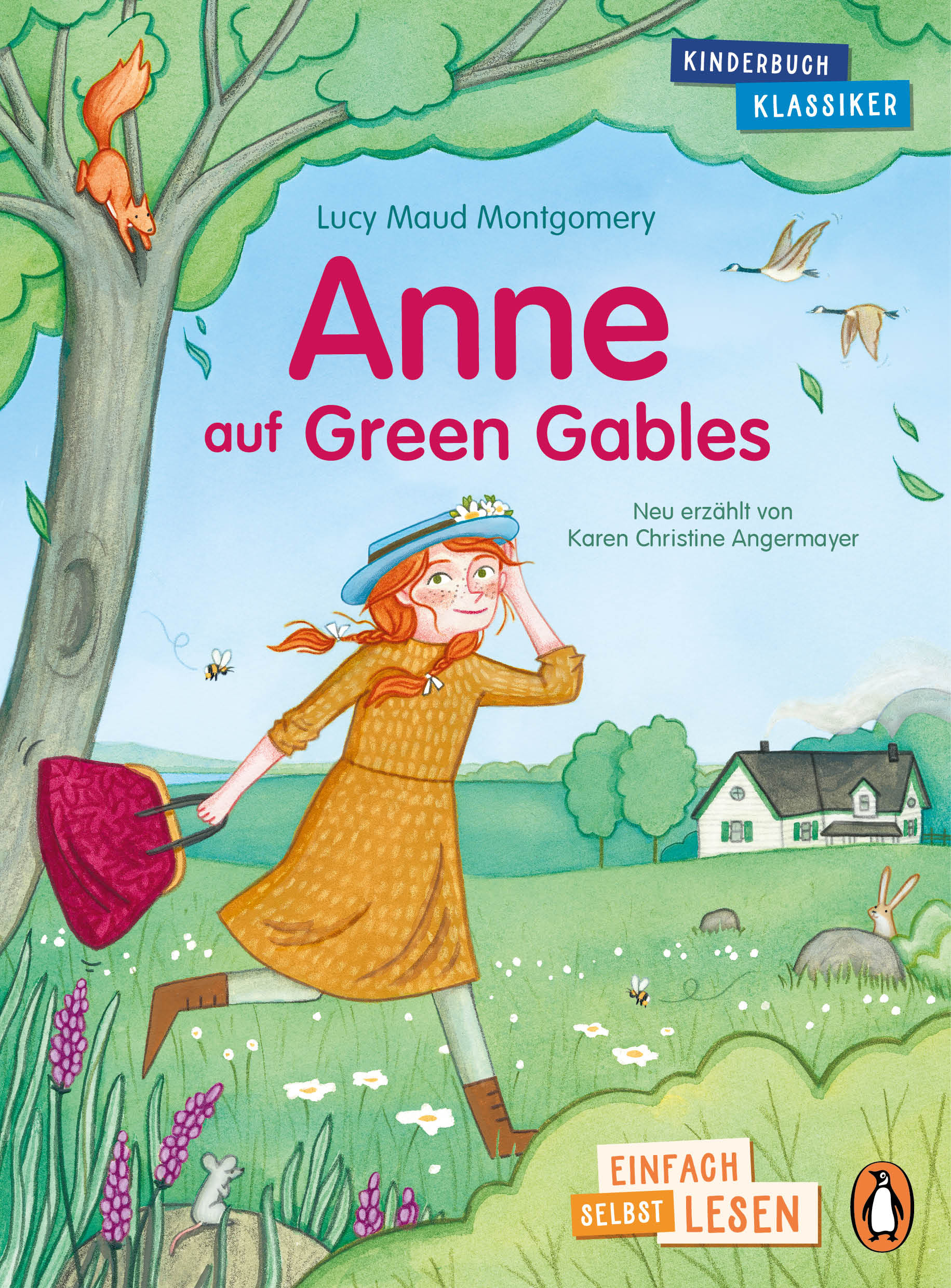 buch anne auf green gables